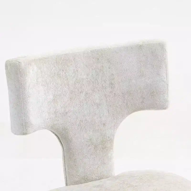Set of 2 Chenille Upholstered Dining Chairs, Brass Nailhead Trim, Hardwood Frame, 300 LB Capacity